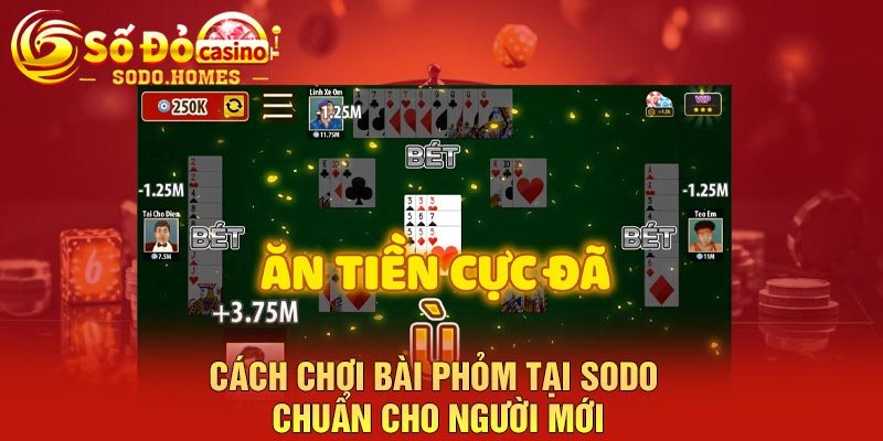 Cách chơi bài phỏm tại Sodo chuẩn cho người mới