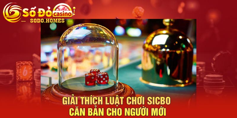 Giải thích luật chơi Sicbo căn bản cho người mới