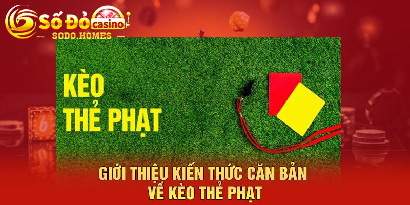 Giới thiệu kiến thức căn bản về kèo thẻ phạt