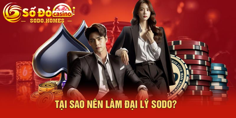 Tại sao nên làm đại lý Sodo?