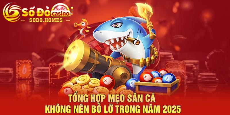 Tổng hợp mẹo săn cá không nên bỏ lỡ trong năm 2025